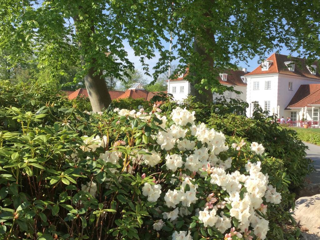Rungstedgaard Hotel Buitenkant foto